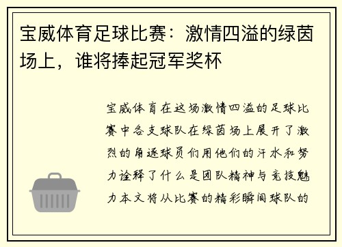 宝威体育足球比赛：激情四溢的绿茵场上，谁将捧起冠军奖杯