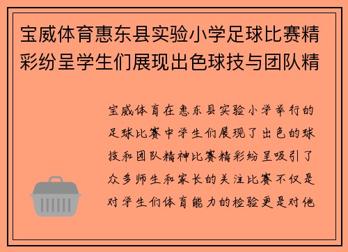 宝威体育惠东县实验小学足球比赛精彩纷呈学生们展现出色球技与团队精神