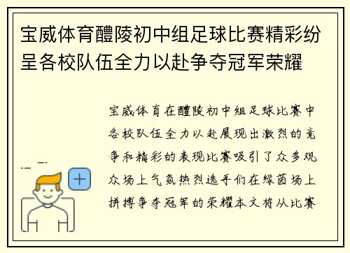 宝威体育醴陵初中组足球比赛精彩纷呈各校队伍全力以赴争夺冠军荣耀