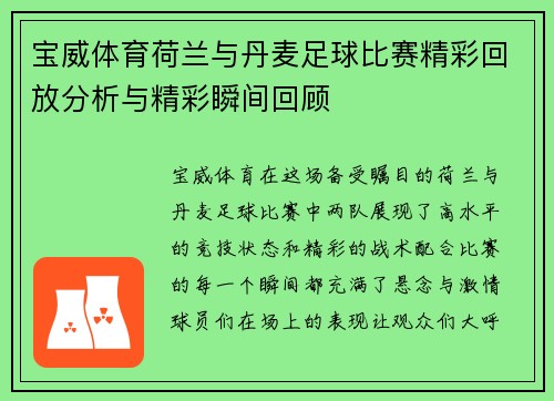 宝威体育荷兰与丹麦足球比赛精彩回放分析与精彩瞬间回顾