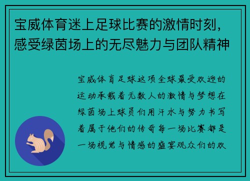宝威体育迷上足球比赛的激情时刻，感受绿茵场上的无尽魅力与团队精神